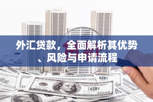 察布查尔锡伯外汇贷款，全面解析其优势、风险与申请流程