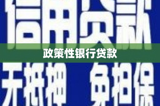 察布查尔锡伯政策性银行贷款