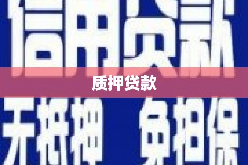 察布查尔锡伯质押贷款