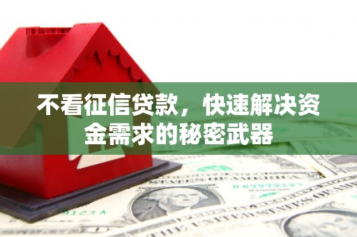 察布查尔锡伯不看征信贷款，快速解决资金需求的秘密武器