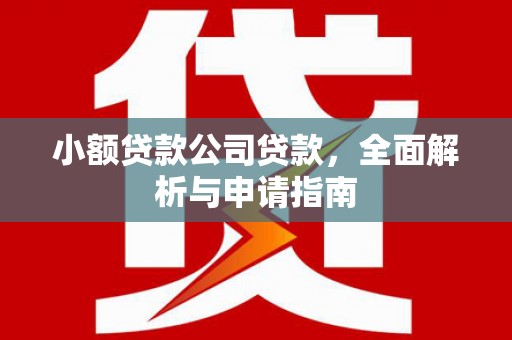 察布查尔锡伯小额贷款公司贷款，全面解析与申请指南