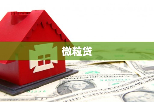 察布查尔锡伯微粒贷