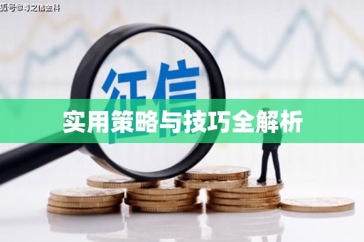 察布查尔锡伯实用策略与技巧全解析
