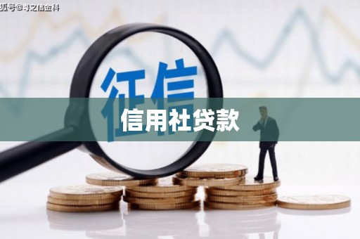 察布查尔锡伯信用社贷款