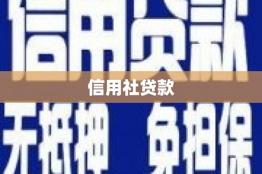 察布查尔锡伯信用社贷款