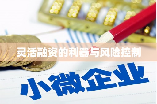 察布查尔锡伯灵活融资的利器与风险控制