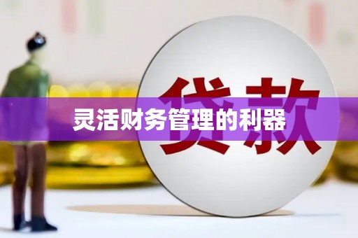 察布查尔锡伯灵活财务管理的利器