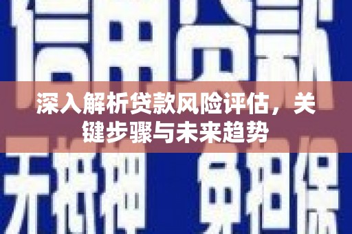 察布查尔锡伯深入解析贷款风险评估，关键步骤与未来趋势
