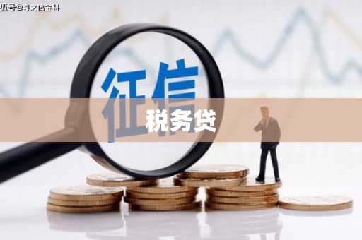 察布查尔锡伯税务贷