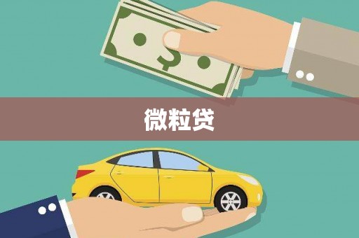 察布查尔锡伯微粒贷