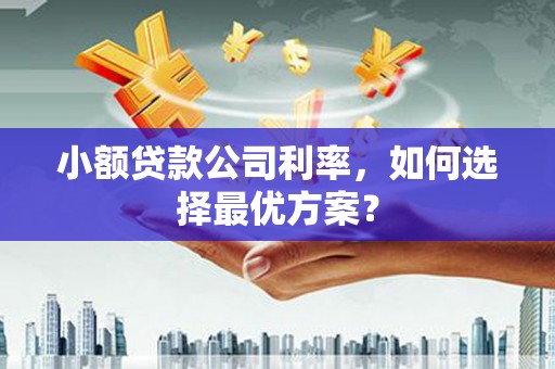 察布查尔锡伯小额贷款公司利率，如何选择最优方案？
