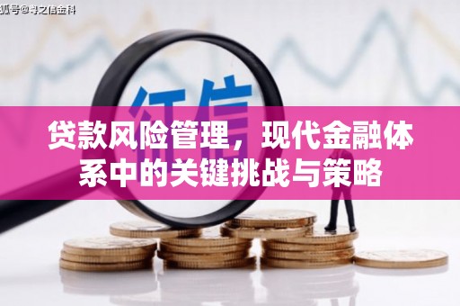 察布查尔锡伯贷款风险管理，现代金融体系中的关键挑战与策略