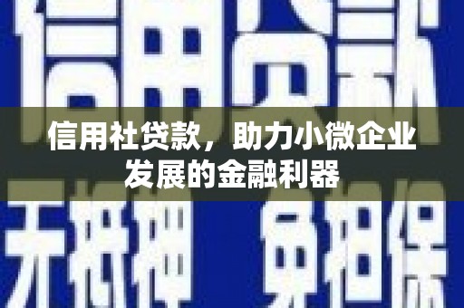 察布查尔锡伯信用社贷款，助力小微企业发展的金融利器