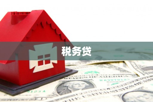 察布查尔锡伯税务贷
