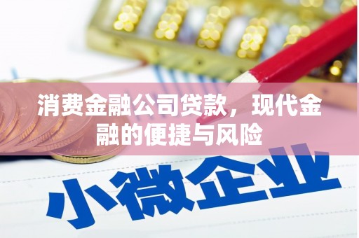 察布查尔锡伯消费金融公司贷款，现代金融的便捷与风险