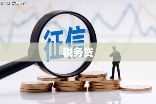 察布查尔锡伯税务贷