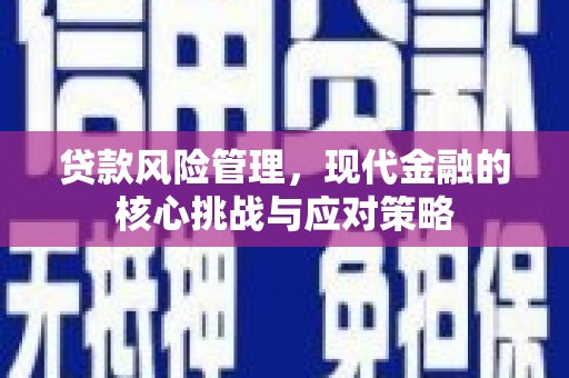 察布查尔锡伯贷款风险管理，现代金融的核心挑战与应对策略