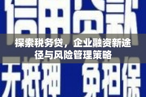 察布查尔锡伯探索税务贷，企业融资新途径与风险管理策略