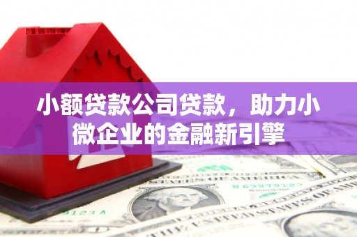 察布查尔锡伯小额贷款公司贷款，助力小微企业的金融新引擎