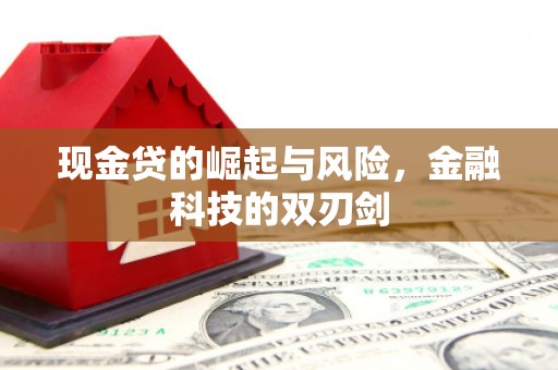 察布查尔锡伯现金贷的崛起与风险，金融科技的双刃剑