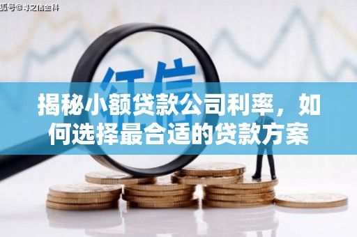 察布查尔锡伯揭秘小额贷款公司利率，如何选择最合适的贷款方案
