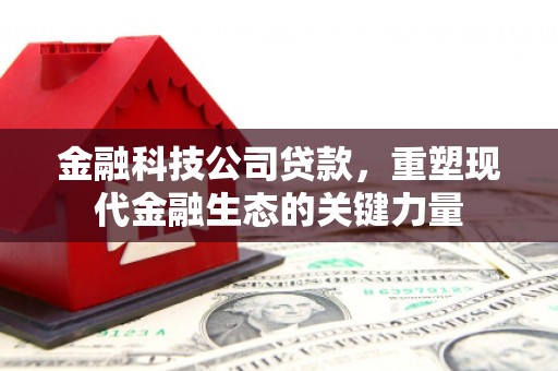 察布查尔锡伯金融科技公司贷款，重塑现代金融生态的关键力量