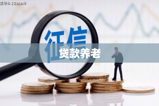 察布查尔锡伯贷款养老