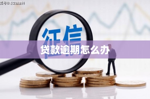 察布查尔锡伯贷款逾期怎么办
