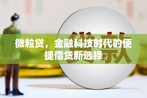 察布查尔锡伯微粒贷，金融科技时代的便捷借贷新选择