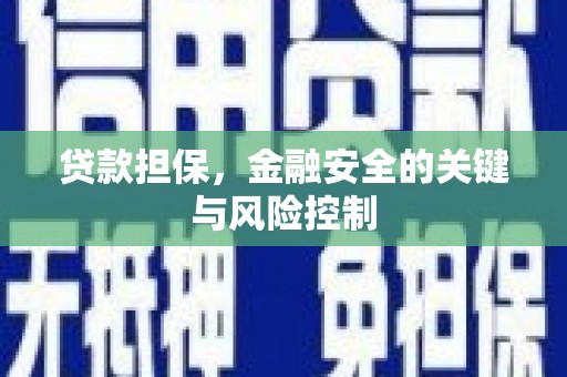 察布查尔锡伯贷款担保，金融安全的关键与风险控制
