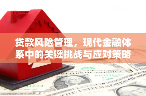 察布查尔锡伯贷款风险管理，现代金融体系中的关键挑战与应对策略