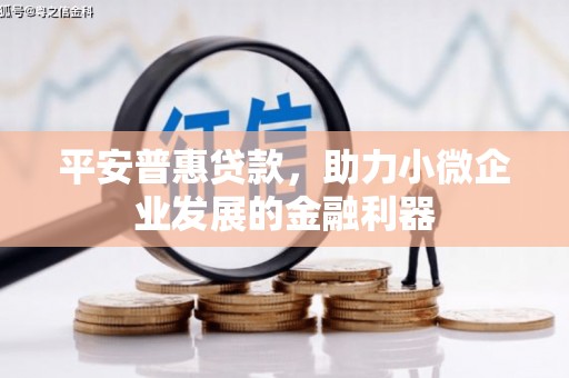 察布查尔锡伯平安普惠贷款，助力小微企业发展的金融利器