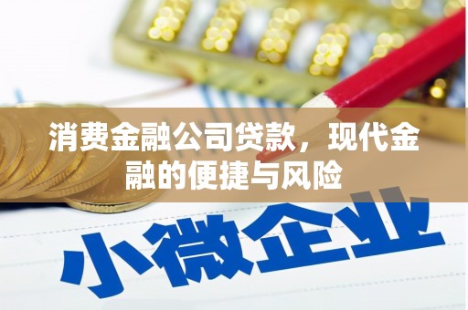 察布查尔锡伯消费金融公司贷款，现代金融的便捷与风险