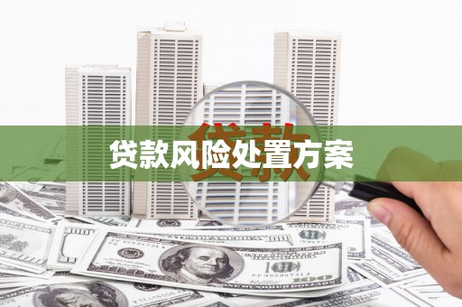 察布查尔锡伯贷款风险处置方案