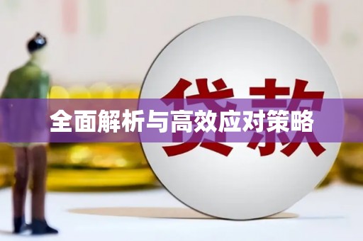 察布查尔锡伯全面解析与高效应对策略